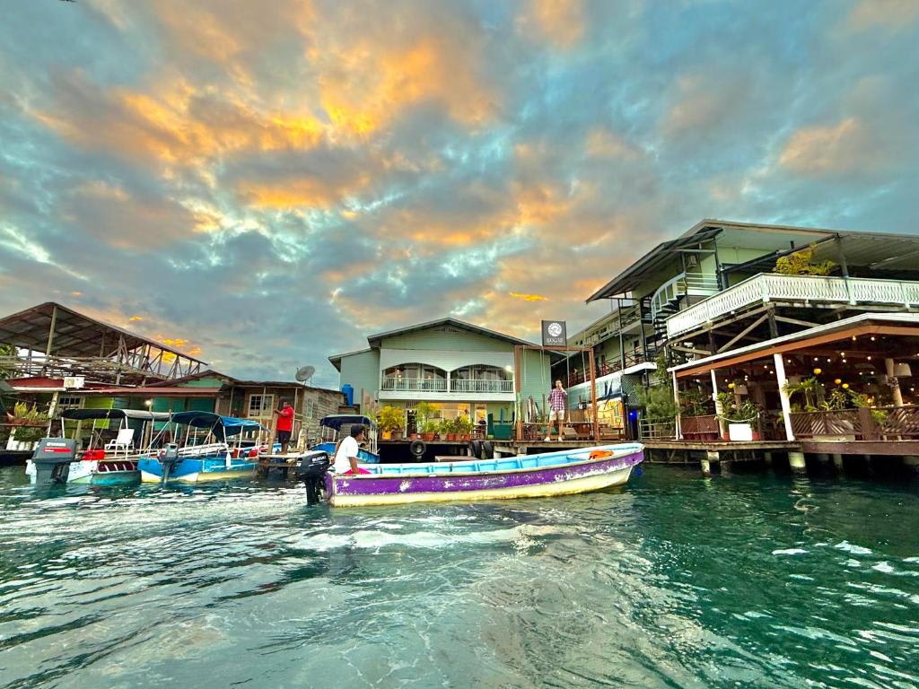 Klika Bocas Del Toro photo 4