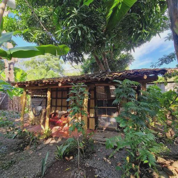 El Ojoche Ometepe photo 5