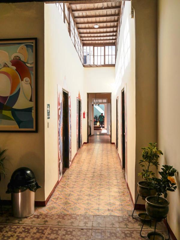Wild Olive Guesthouse photo 2