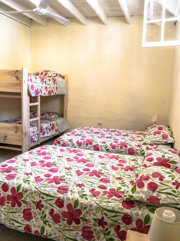 Wild Olive Guesthouse photo 3