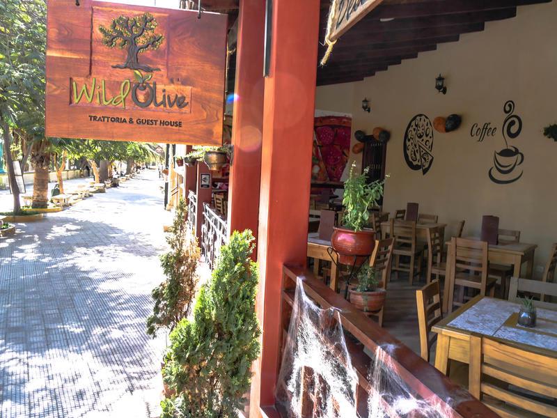 Wild Olive Guesthouse photo 4