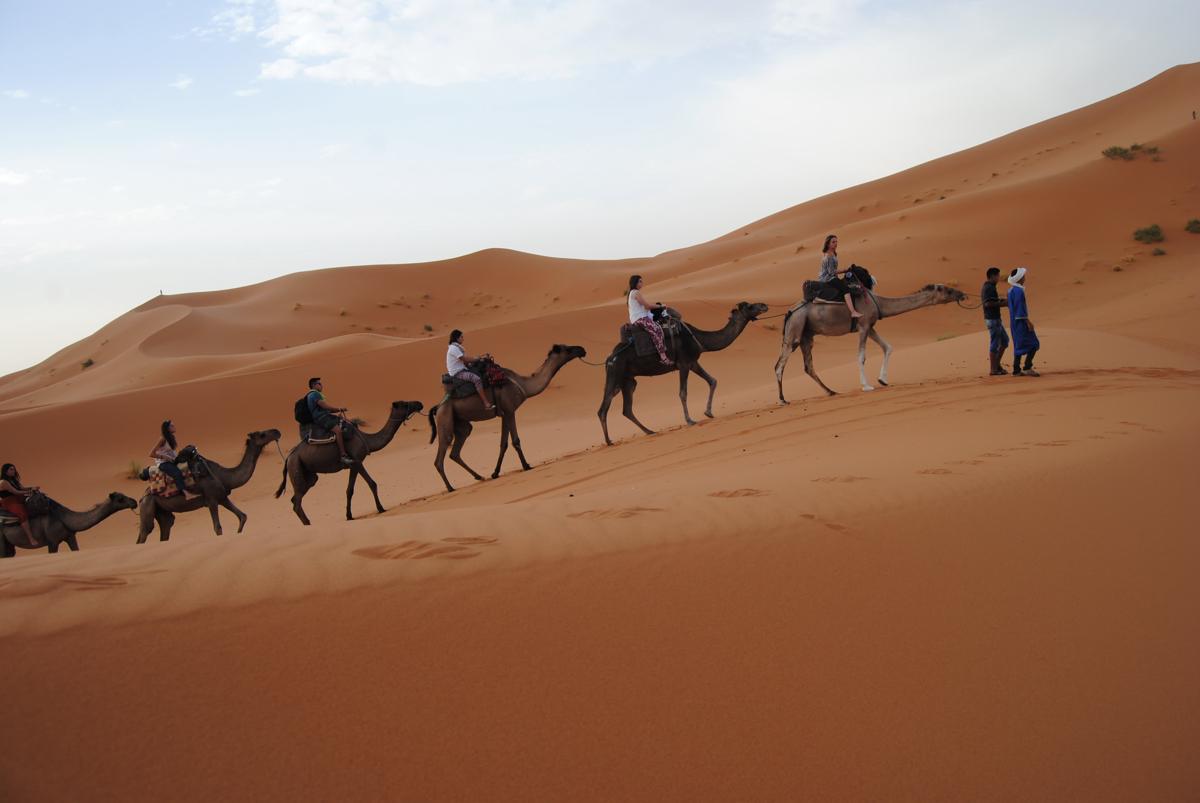 Merzouga Desert Activities photo 1