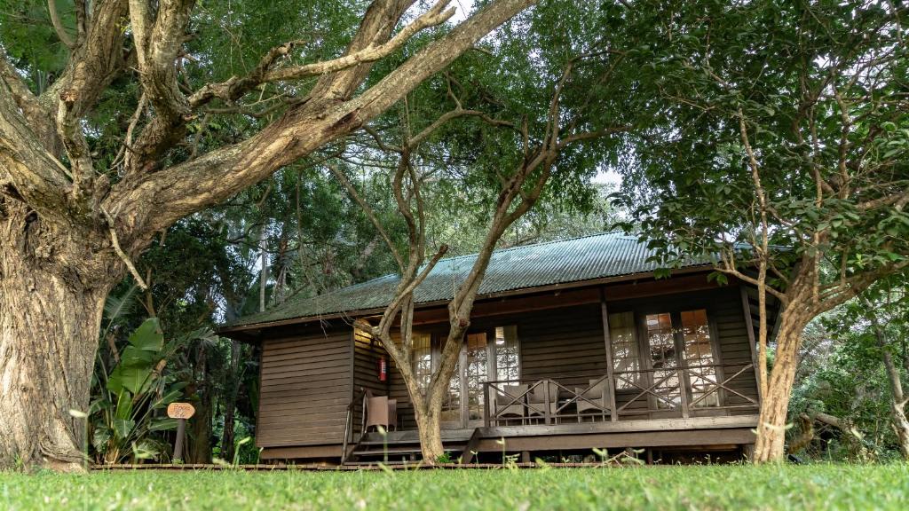 Gooderson Bushlands Game Lodge photo 3