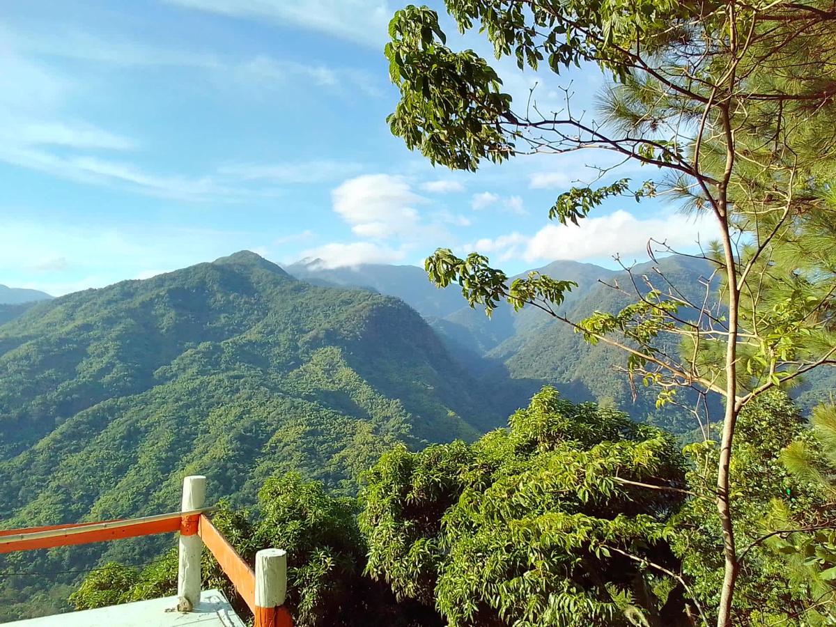Jamaica House Blue Mountain Wilderness Retreat B photo 1