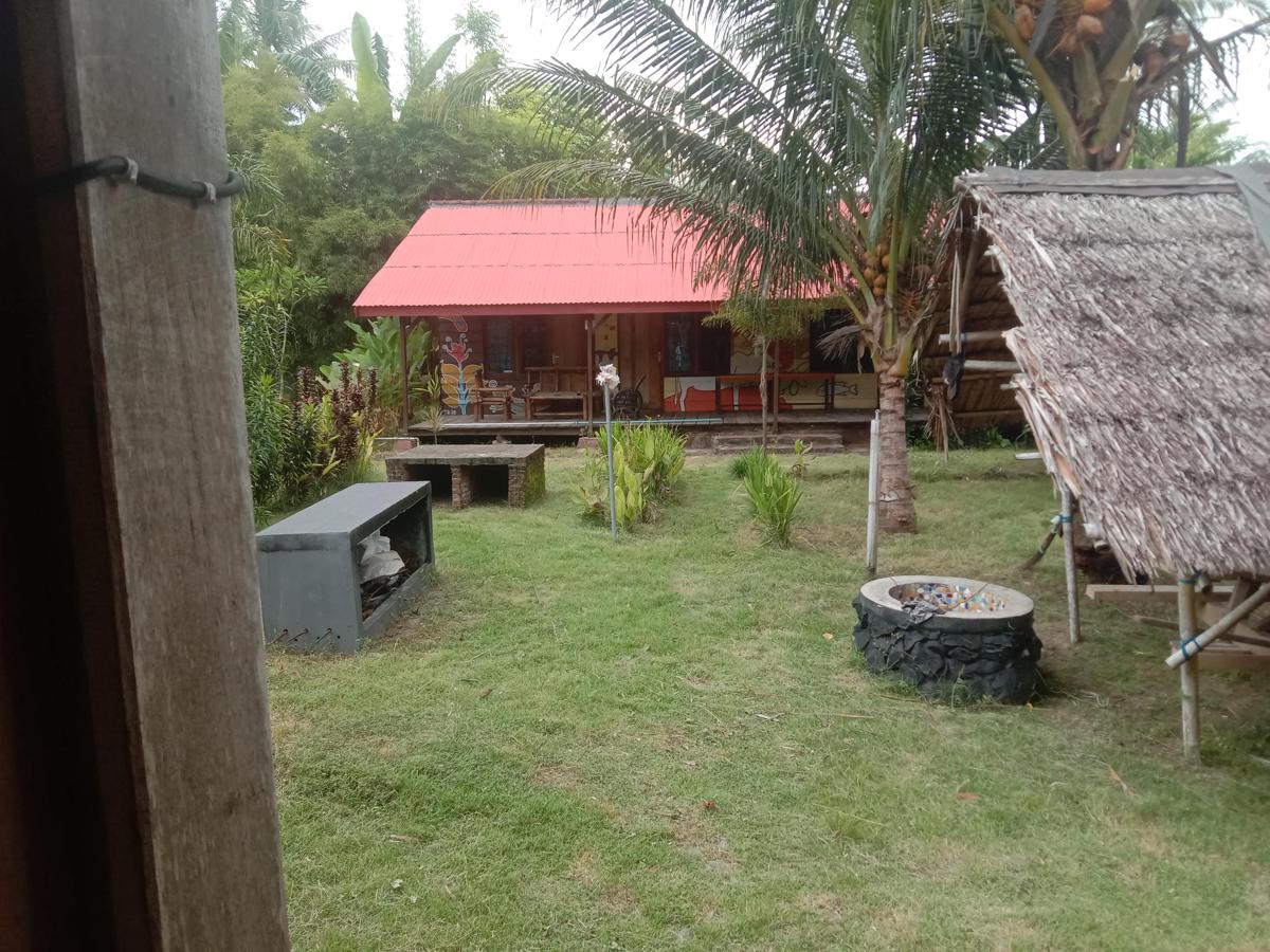 C Point Krui photo 3