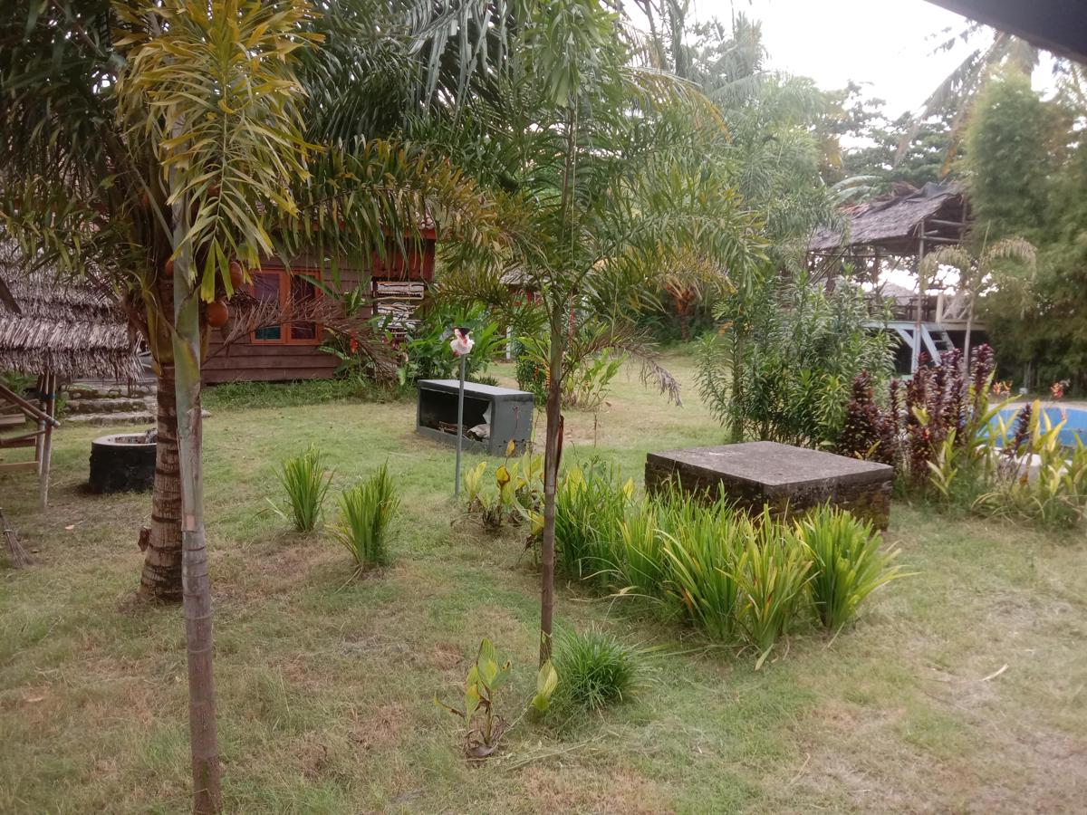 C Point Krui photo 4