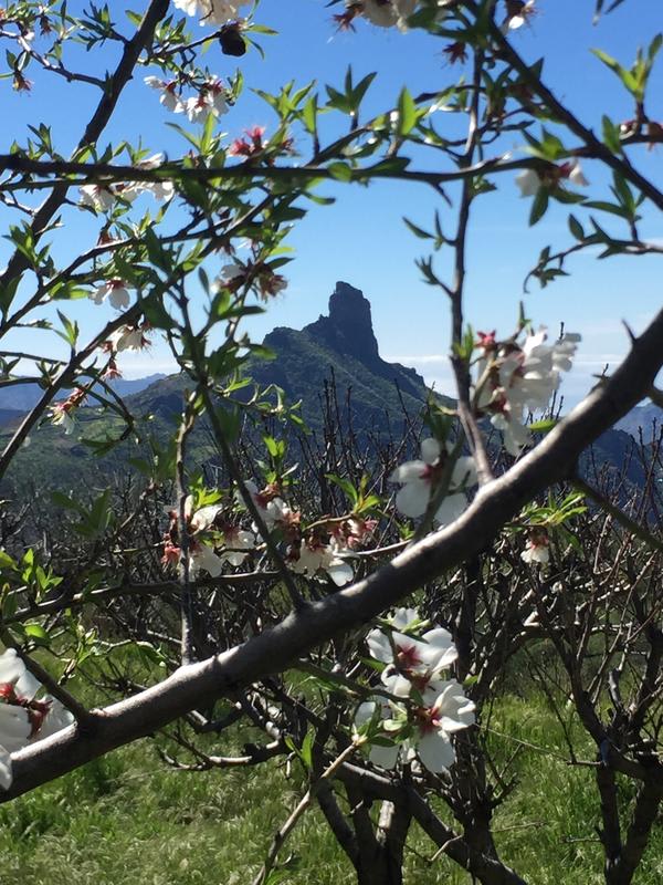 Mountain Hostel & House Finca La Isa by Rose photo 2