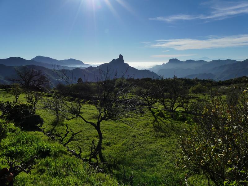 Mountain Hostel & House Finca La Isa by Rose photo 3