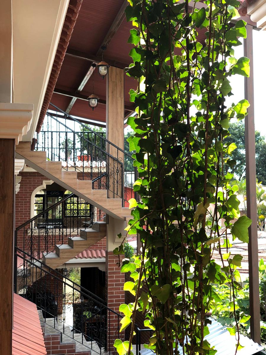 Hotel Posada Don Miguel photo 3