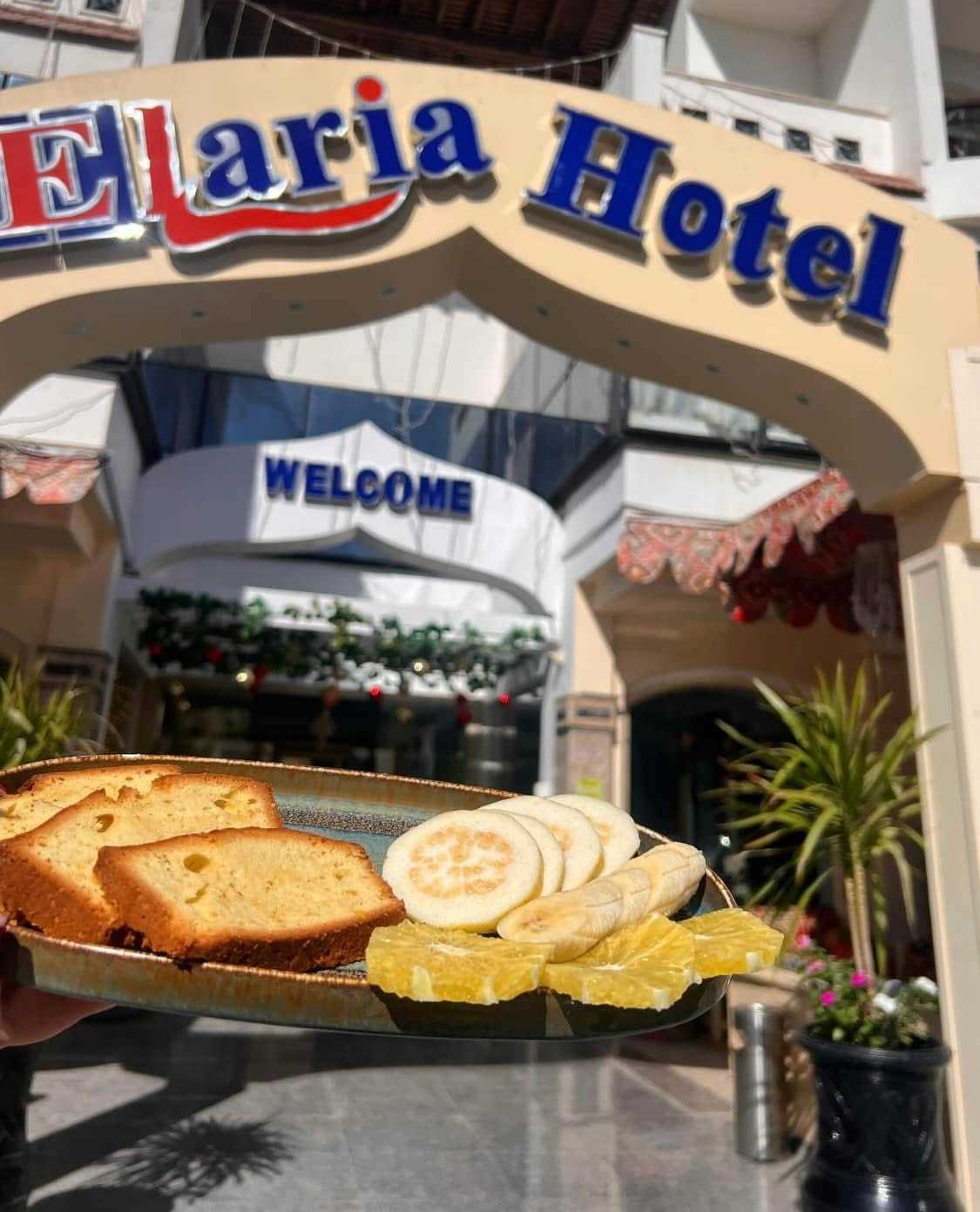 Elaria Hotel photo 4