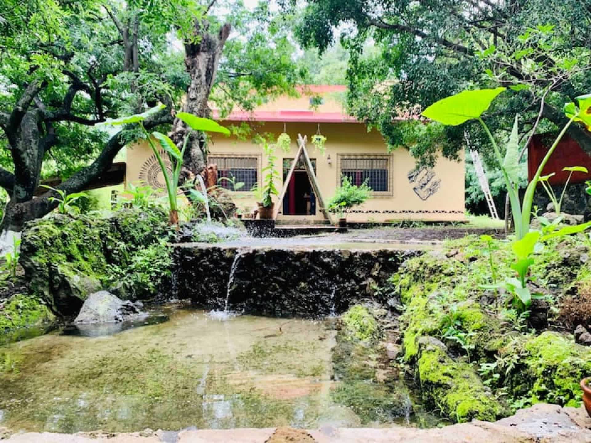 Tribu Malinalco photo 1