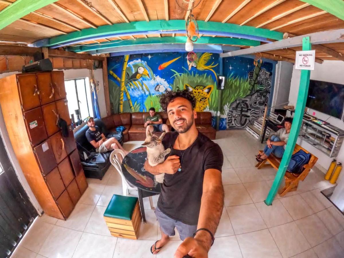 Hostal Musica y Arte photo 1