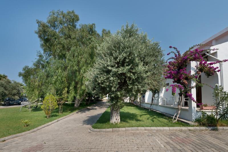 Bare Hill Holiday Village photo 3
