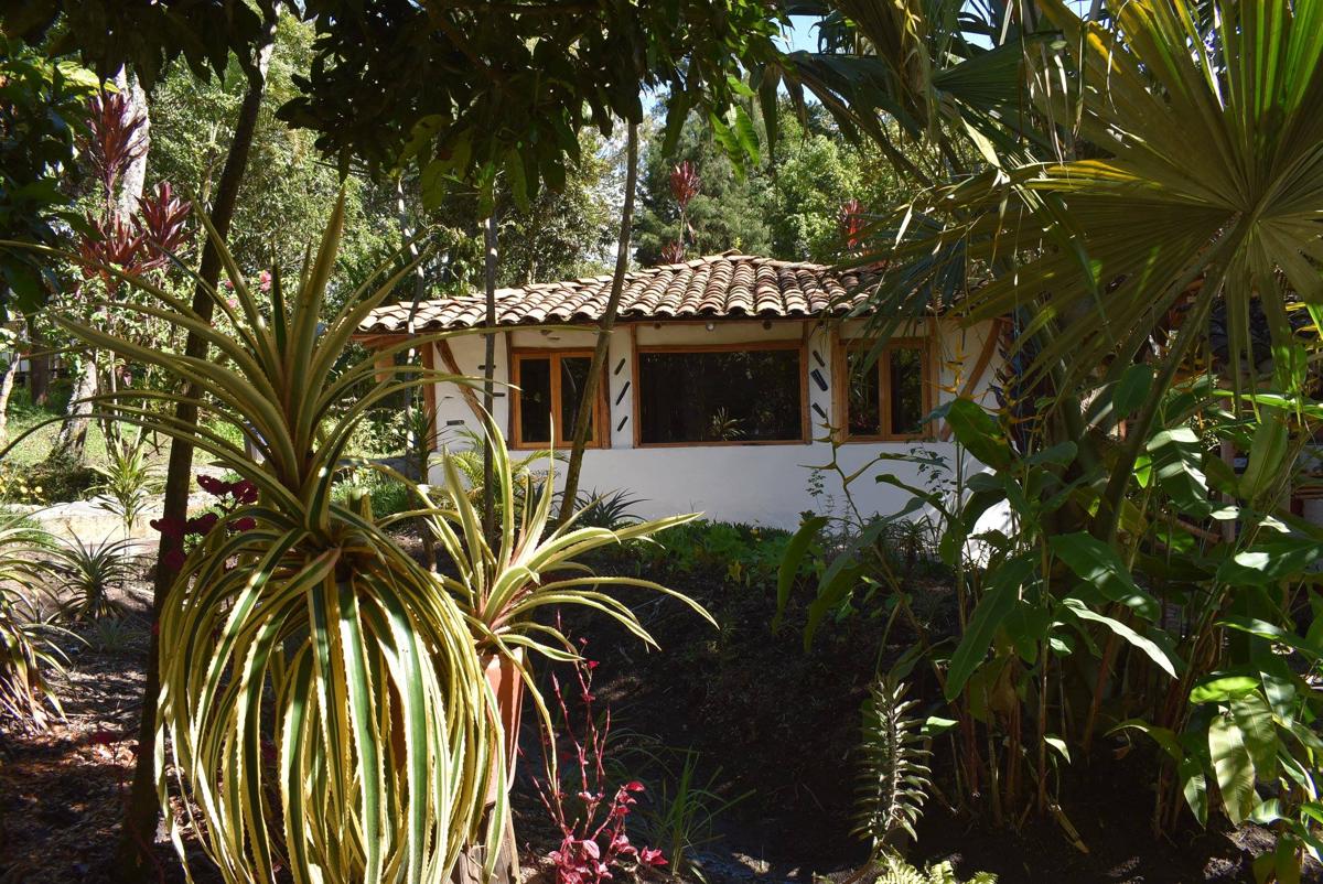 La Casa de Francois photo 2