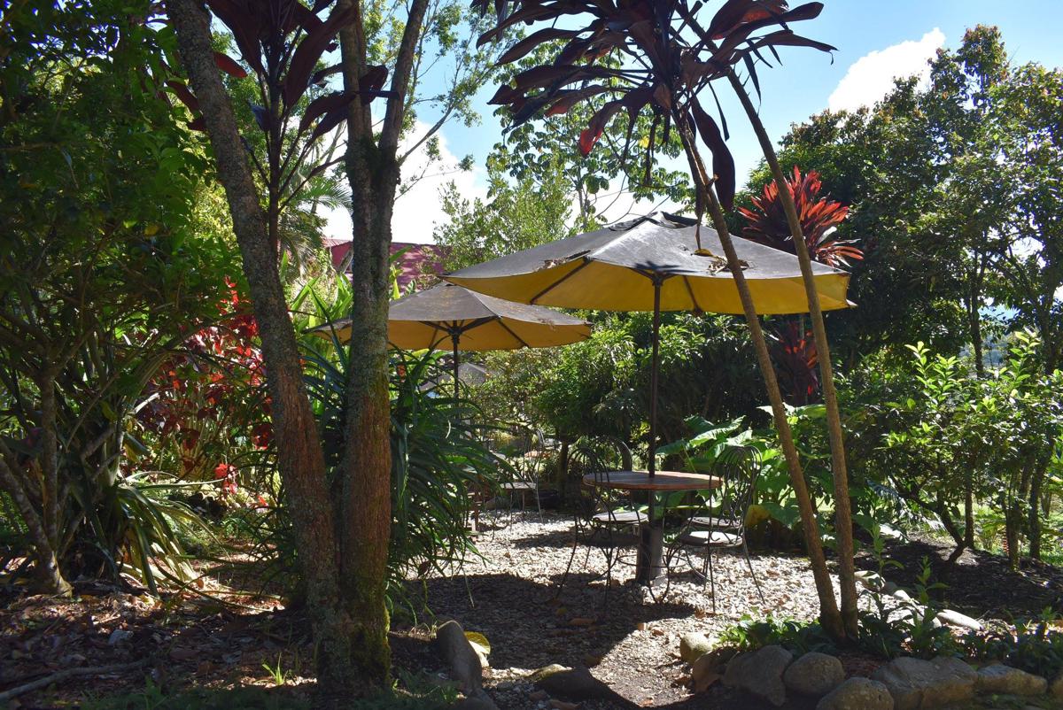 La Casa de Francois photo 3