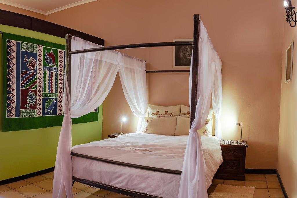 Chameleon Backpackers photo 3