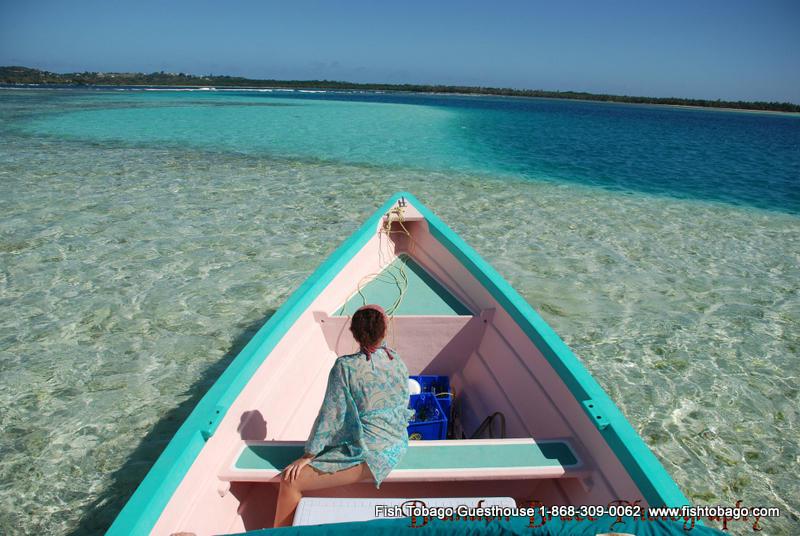 Fish Tobago Guesthouse photo 6