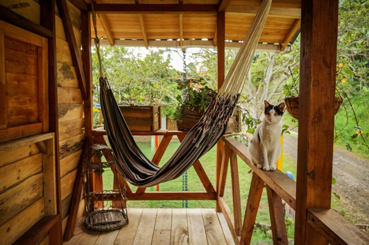 Creo Ecolodge Jardin photo 2