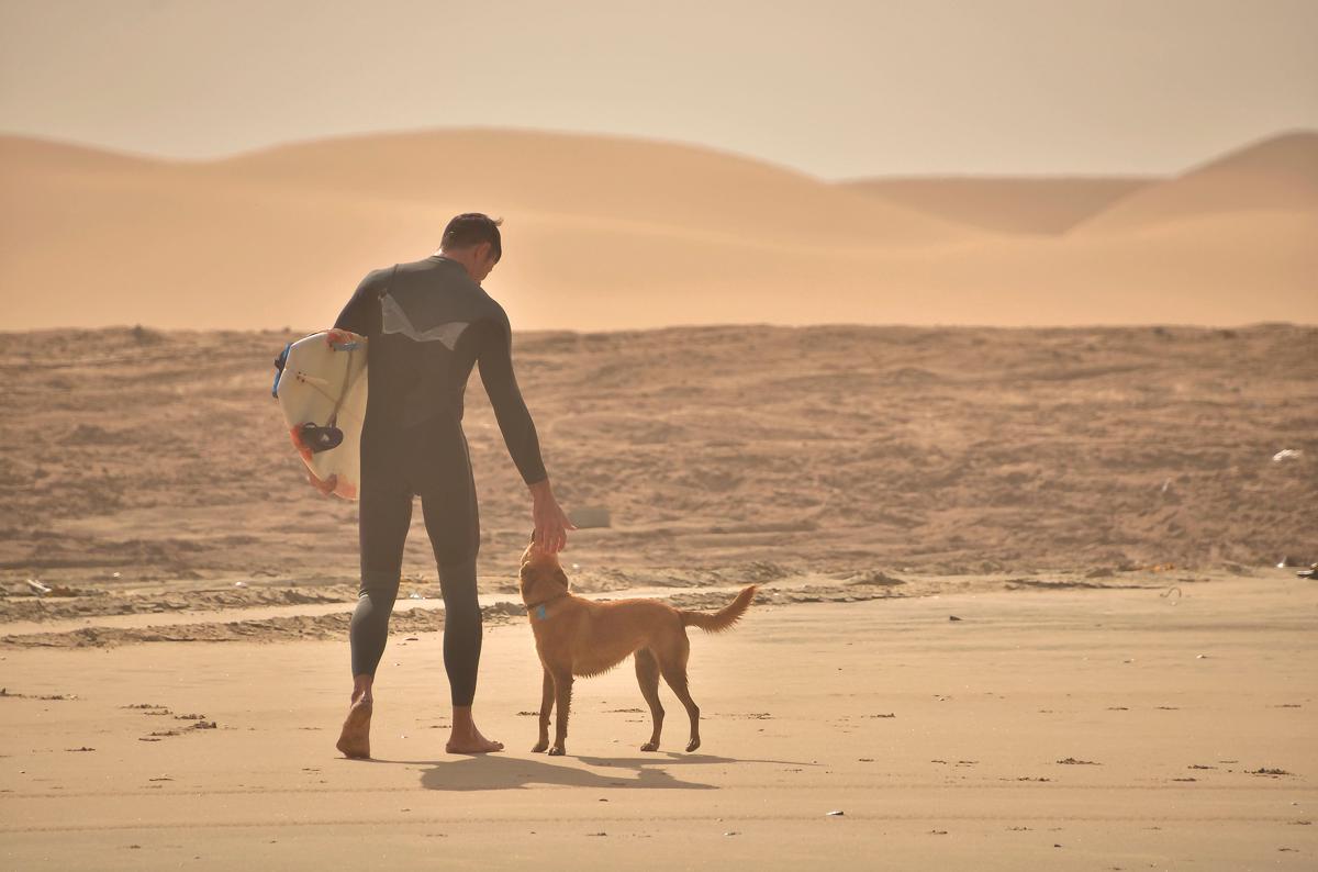 Salty Jackal Surf Camp photo 2