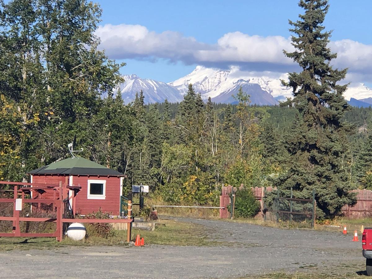 Nicolai's Mine Camp photo 4