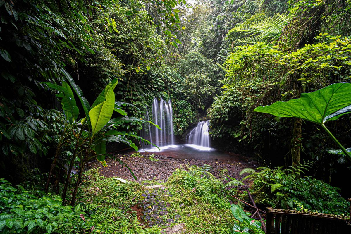 Santya Loka Lodge & Twin Waterfall photo 3
