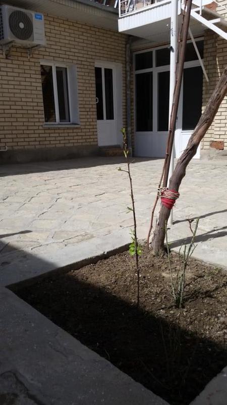 Hostel Payraviy Guest House photo 3