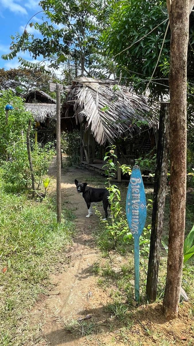Casa Surf Ananas photo 4