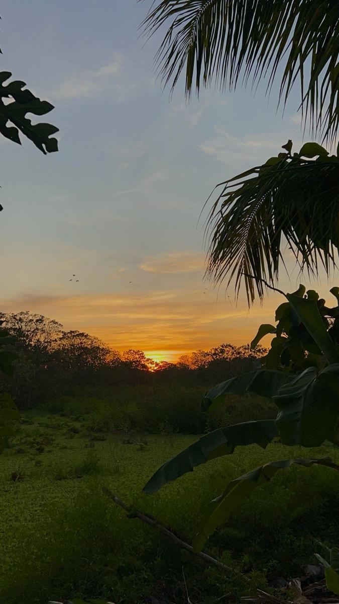 Tiki Hostel Ometepe photo 4