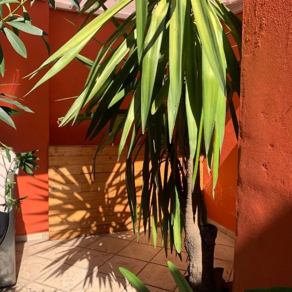 Villa Coyoacan photo 5