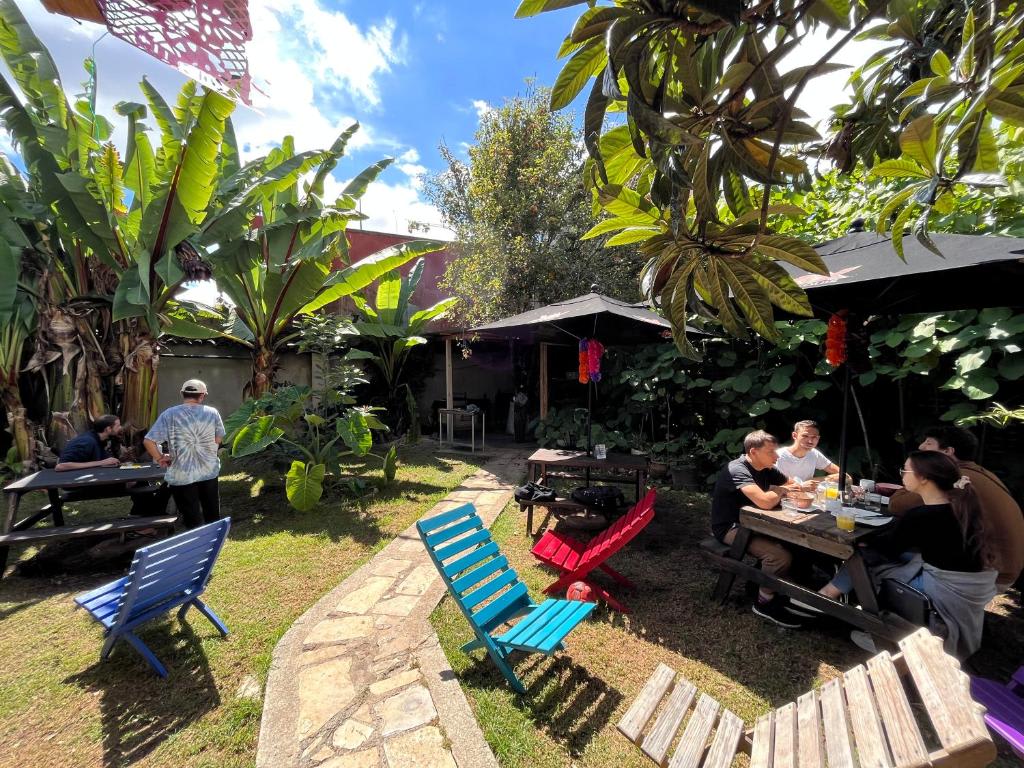 The Coffee Bean Hostel photo 3