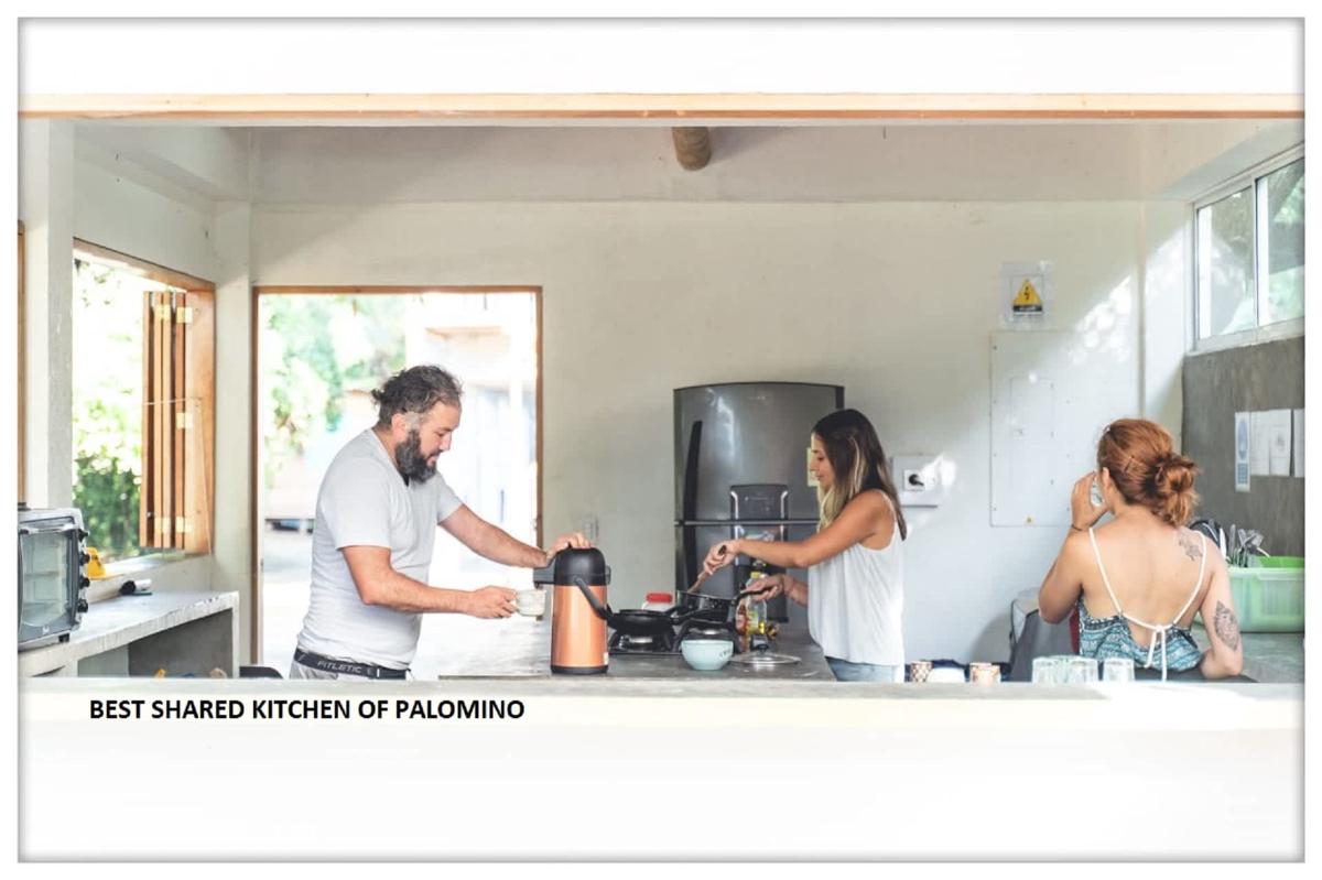 Freesoul Hostel Palomino photo 4