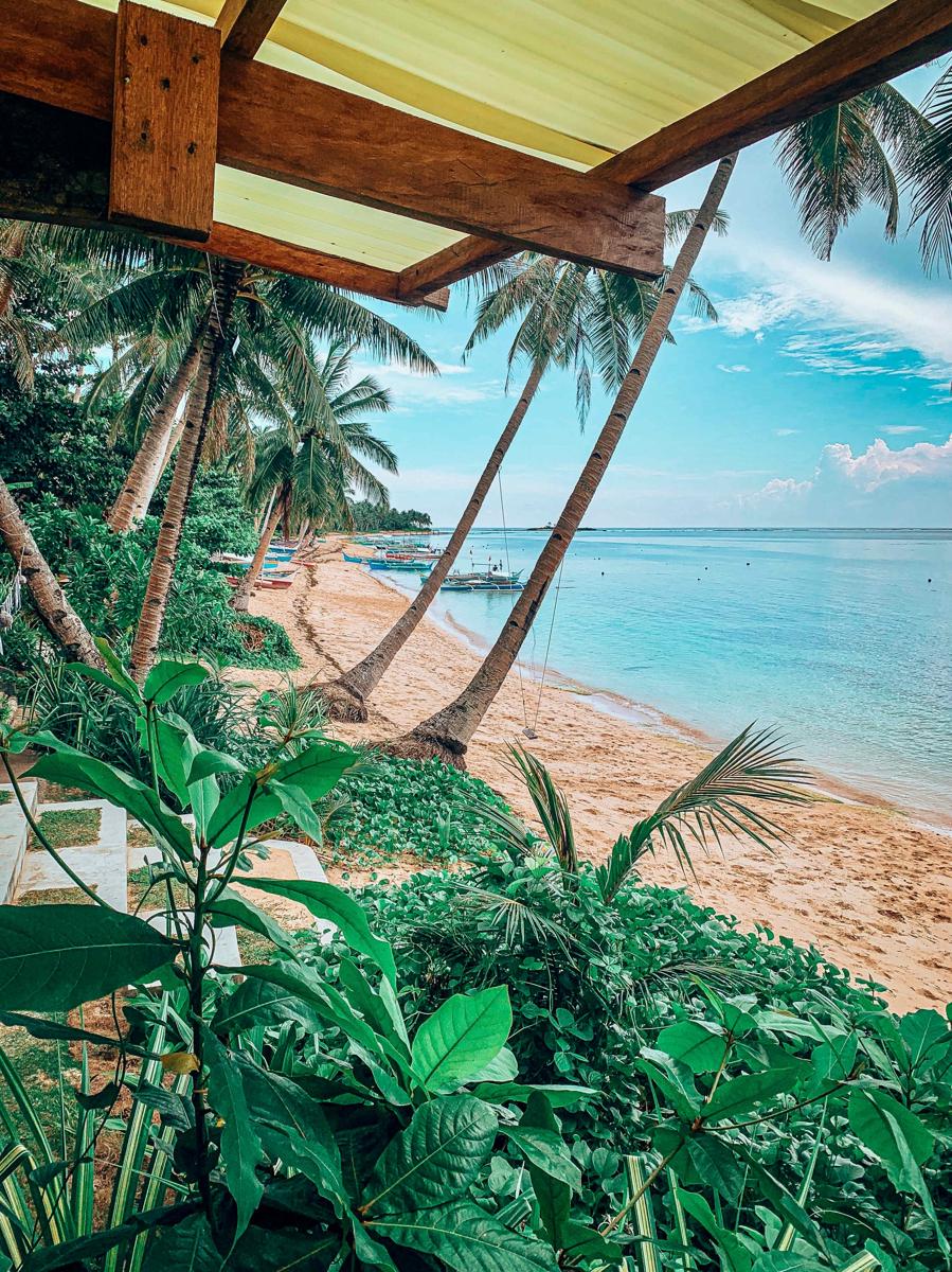 ShakaBrah Beach Resort photo 2