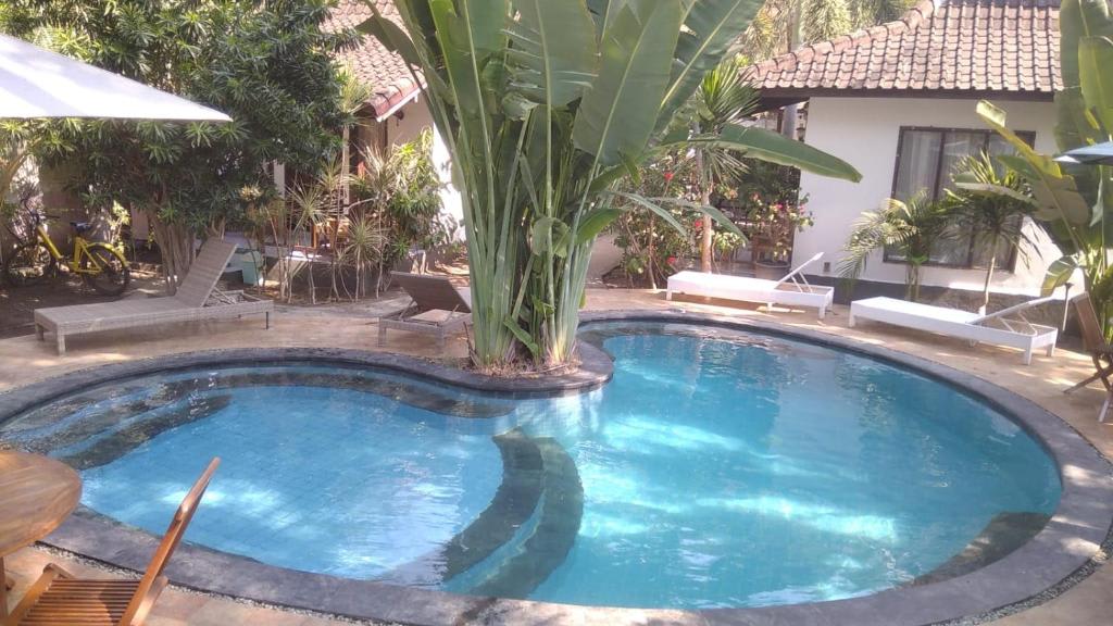 Banana Leaf Resort photo 2