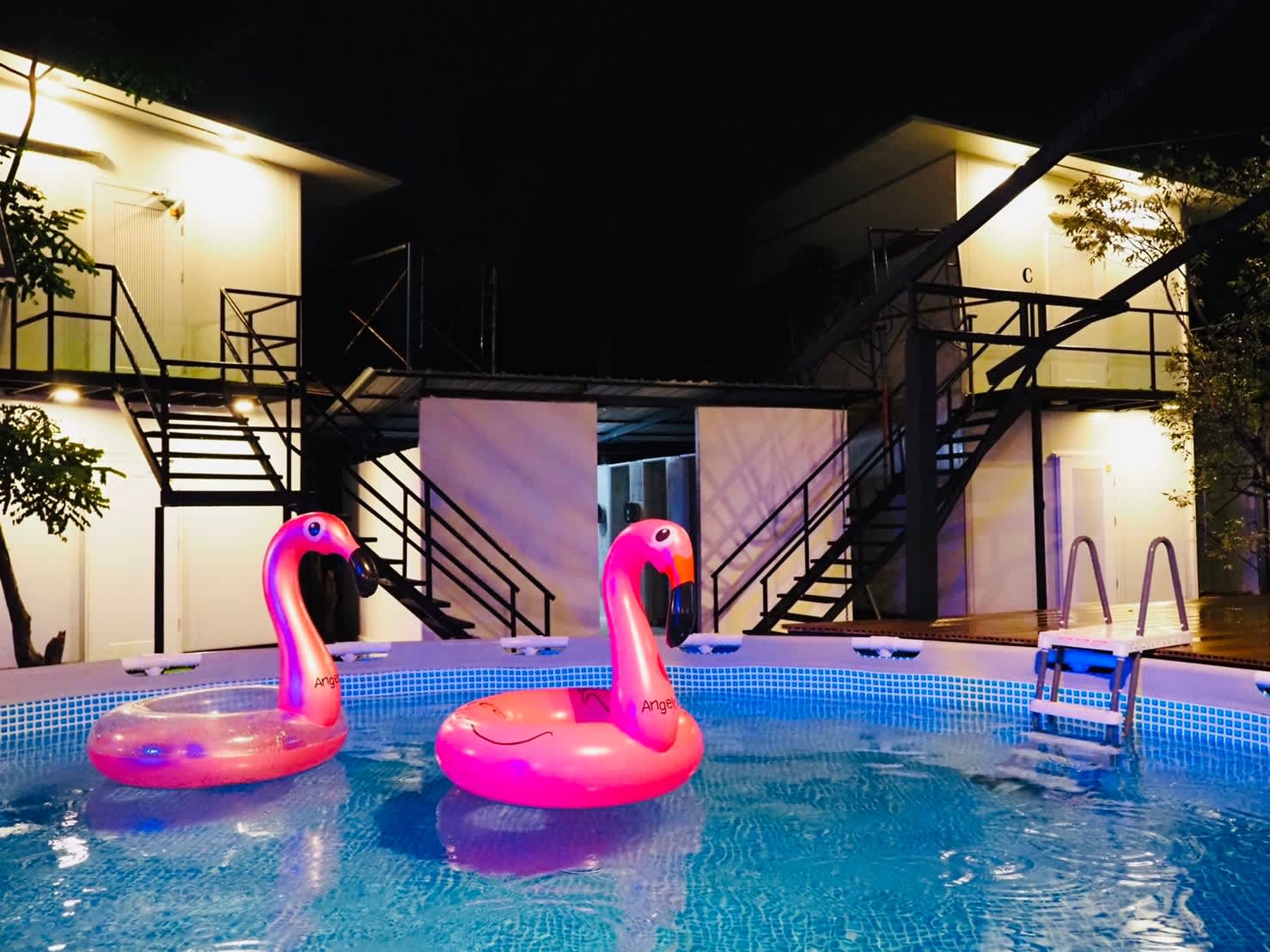 Wild Ones Hostel photo 1