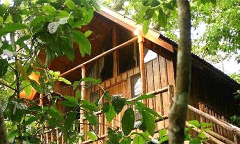 Bayrams Treehouse photo 2