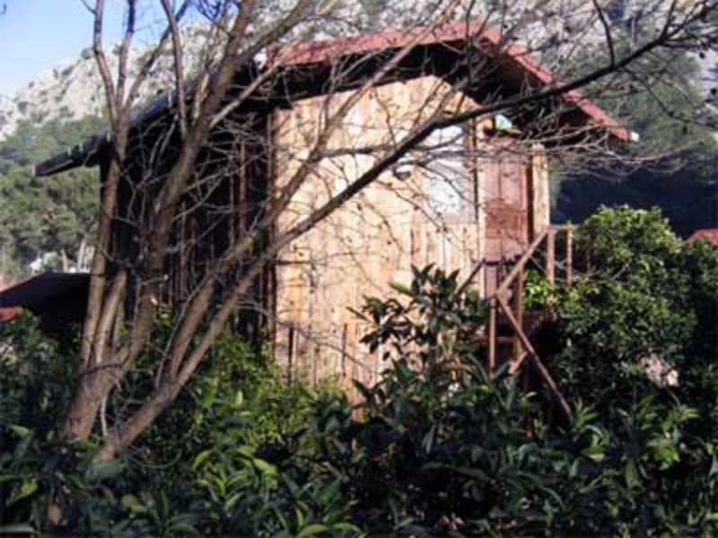 Bayrams Treehouse photo 4
