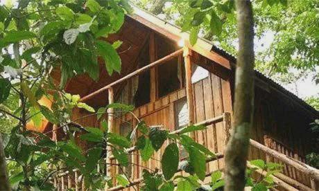 Bayrams Treehouse photo 5