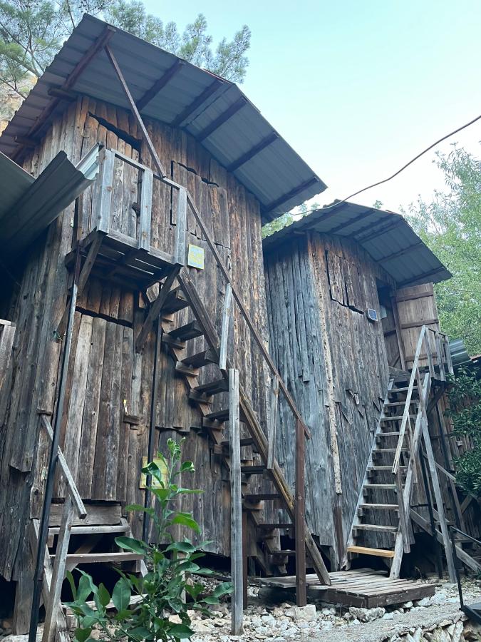 Bayrams Treehouse photo 6