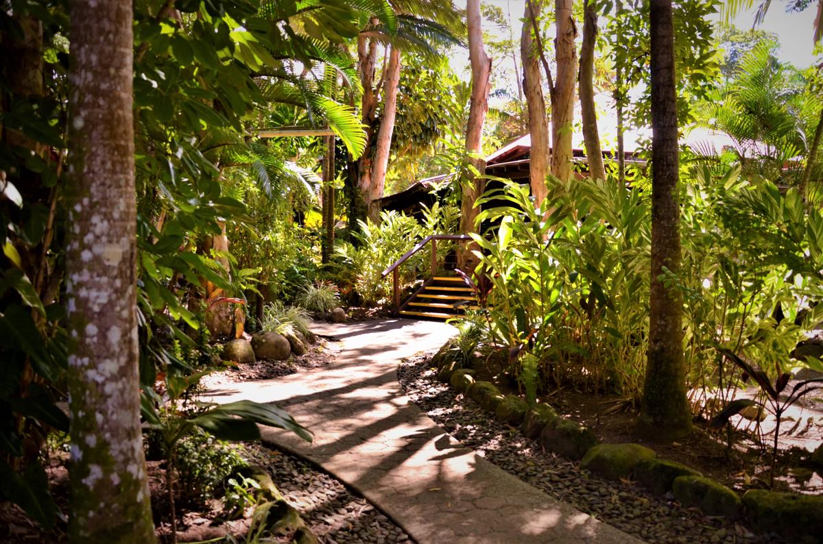 PK's Jungle Village photo 1