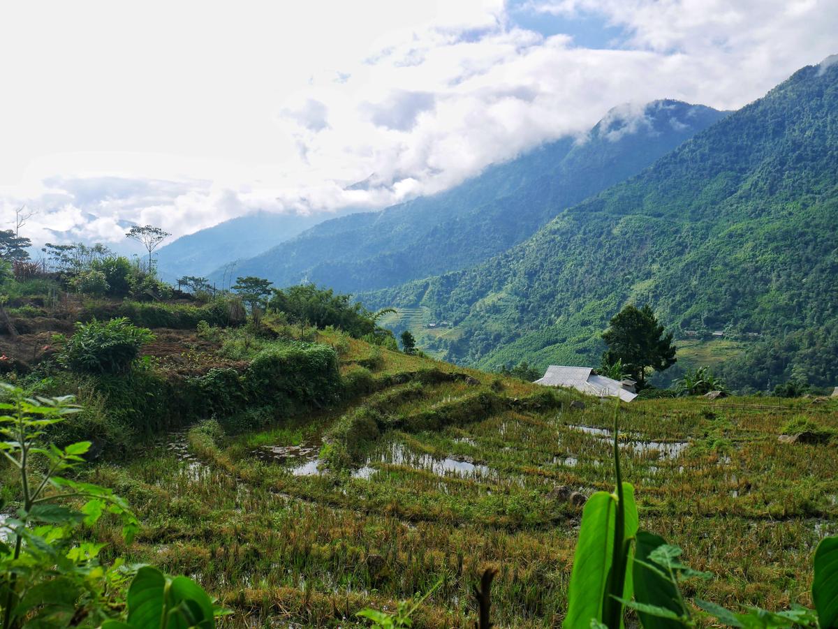 Lee's Charm Homestay photo 4