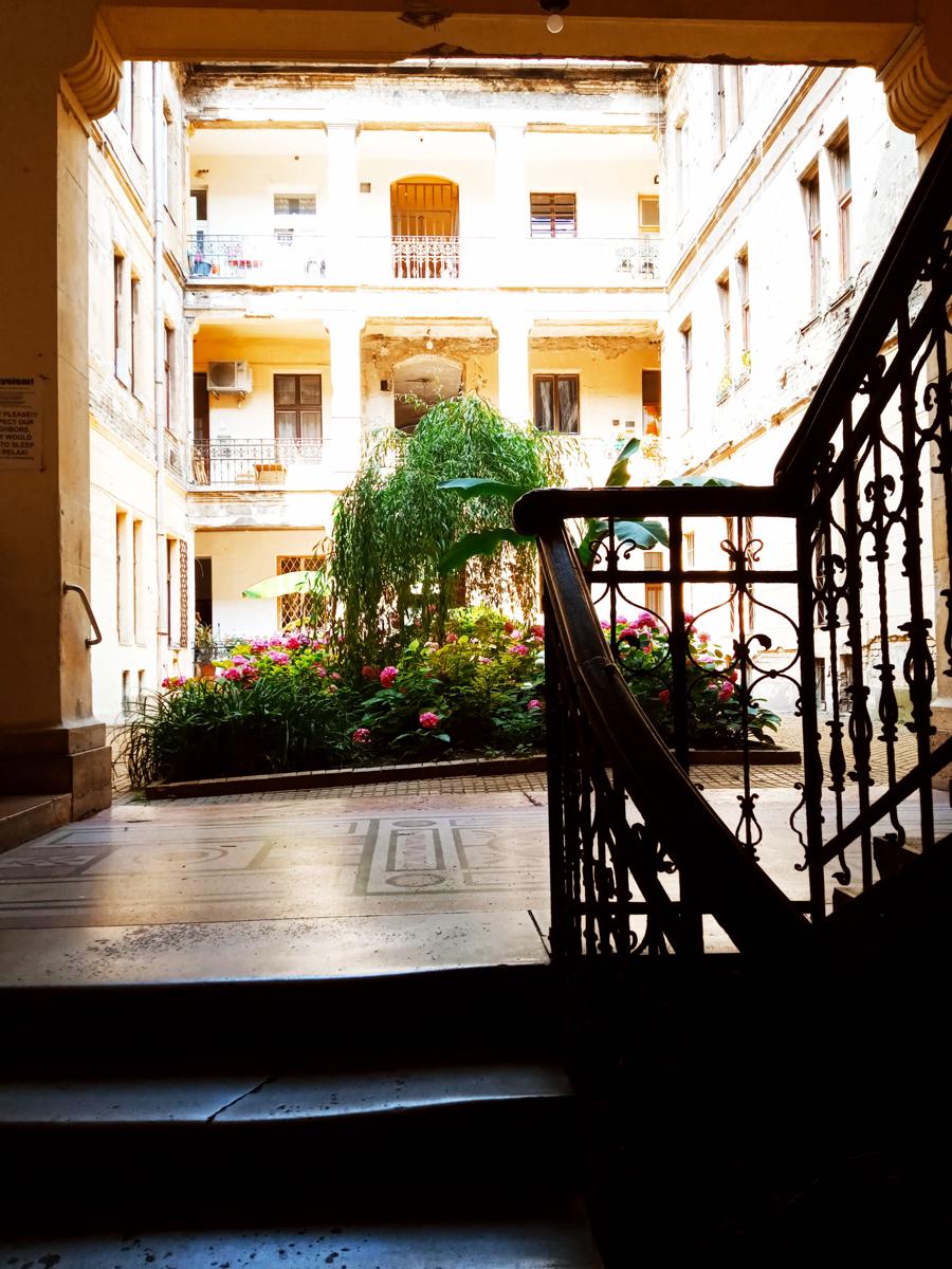 AVAIL Hostel photo 3