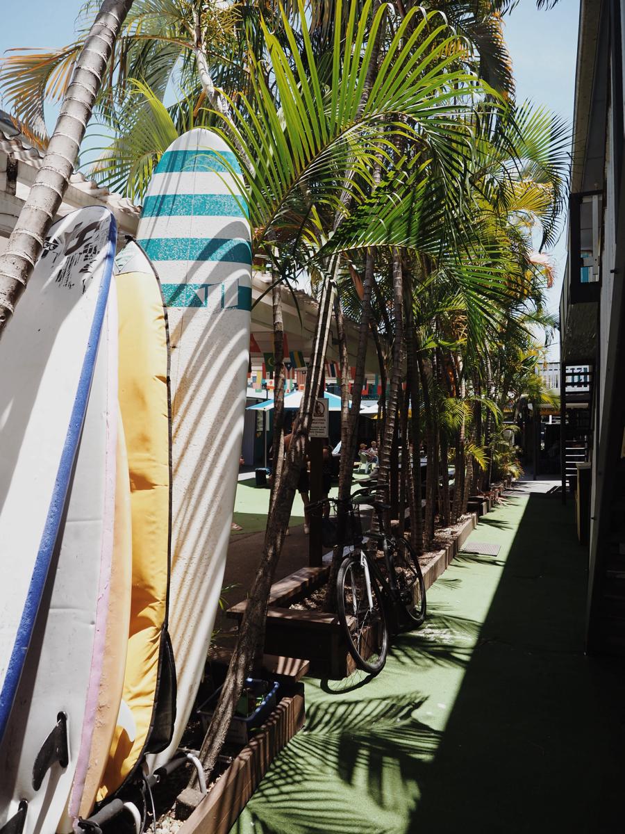 Backpackers In Paradise Resort photo 3
