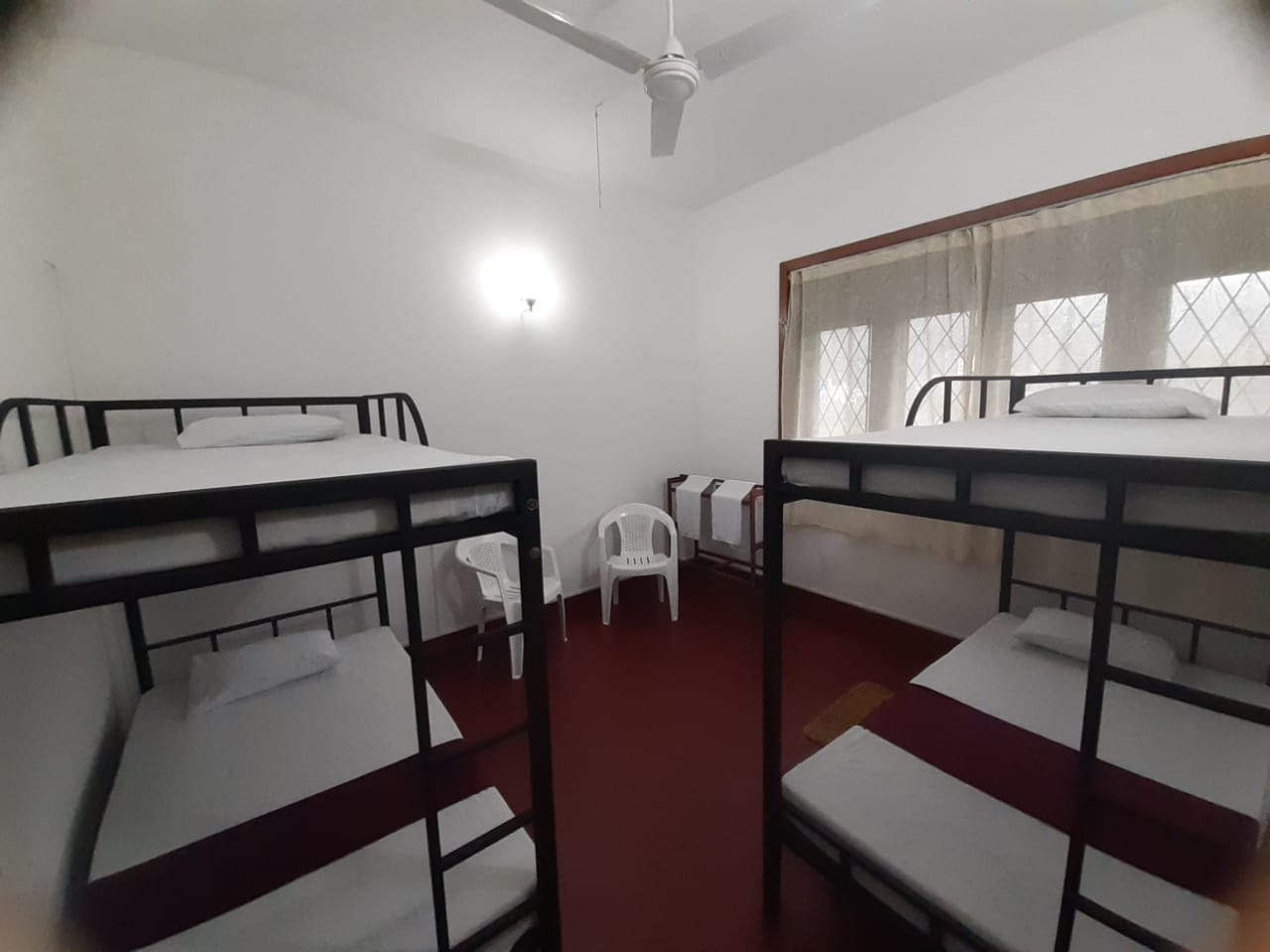 Lazy Bear Hostel photo 3