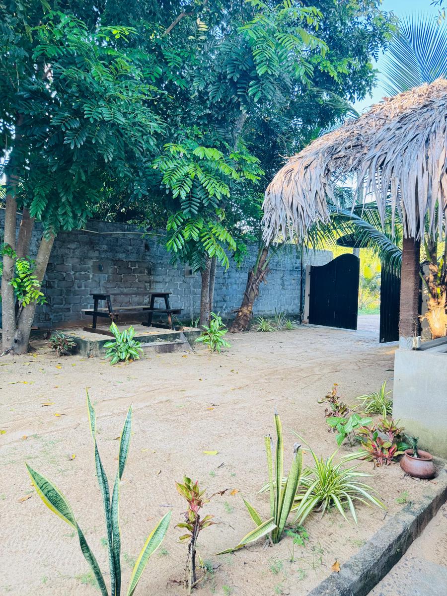 Uluwatu Surf Hostel photo 3