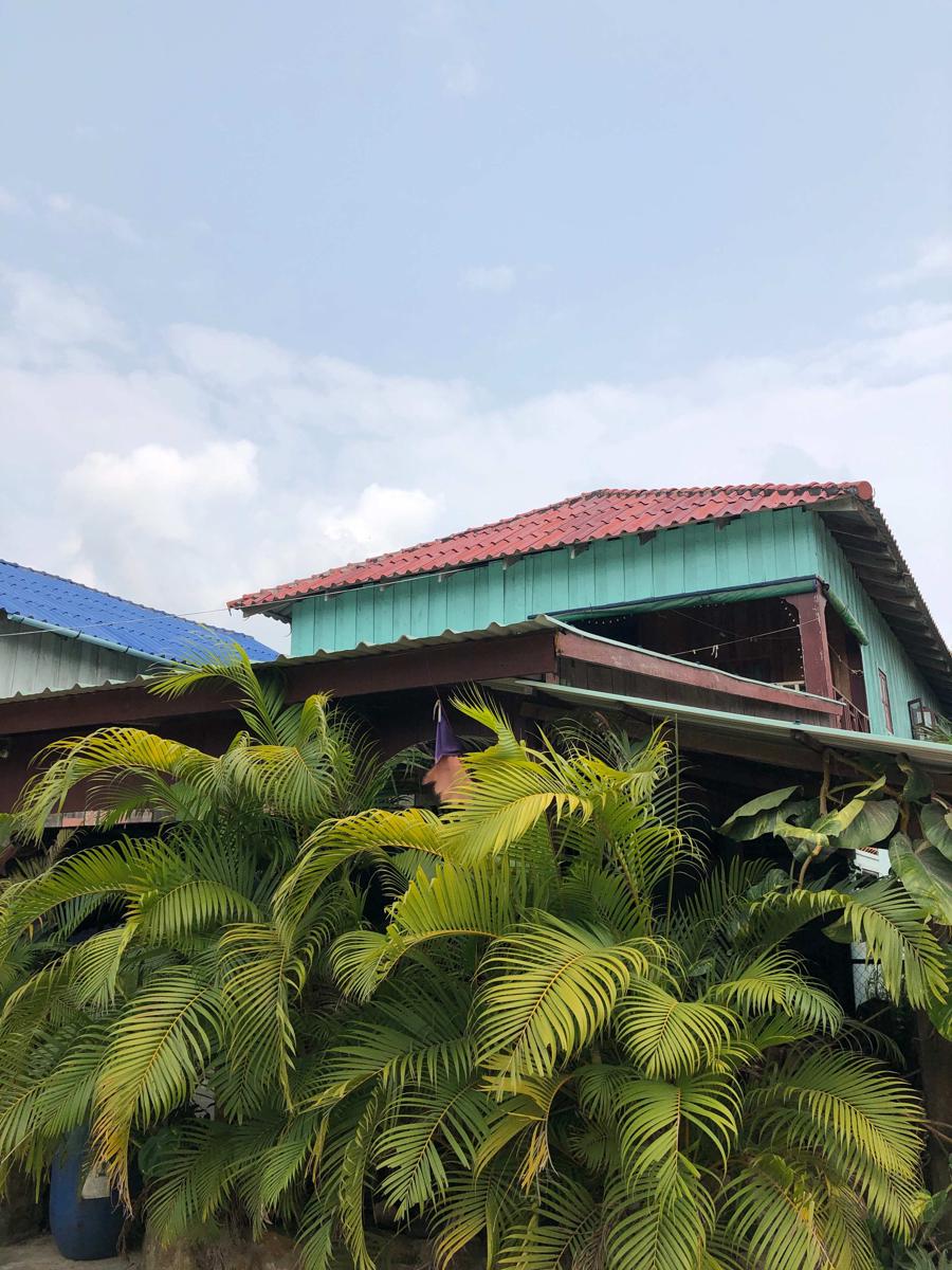Macondo Guesthouse photo 2
