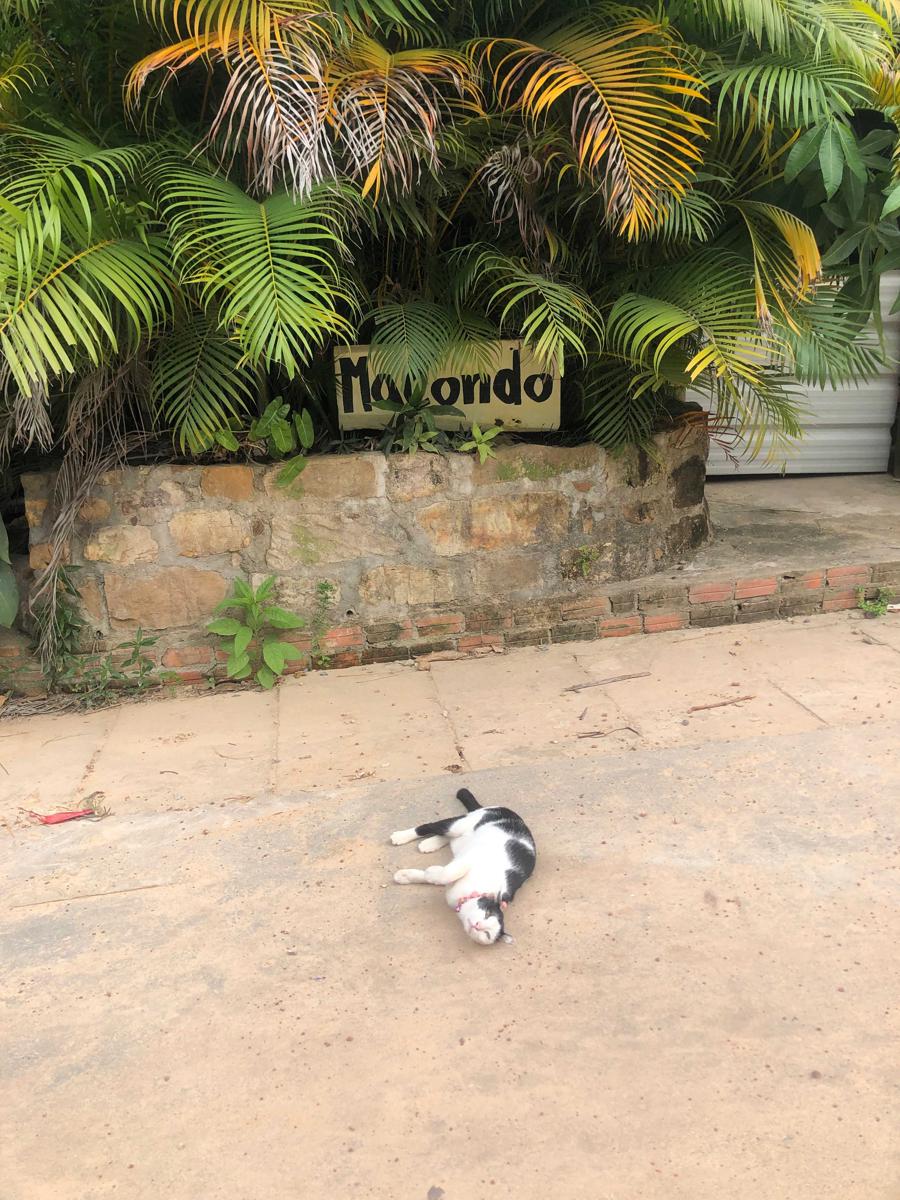 Macondo Guesthouse photo 3