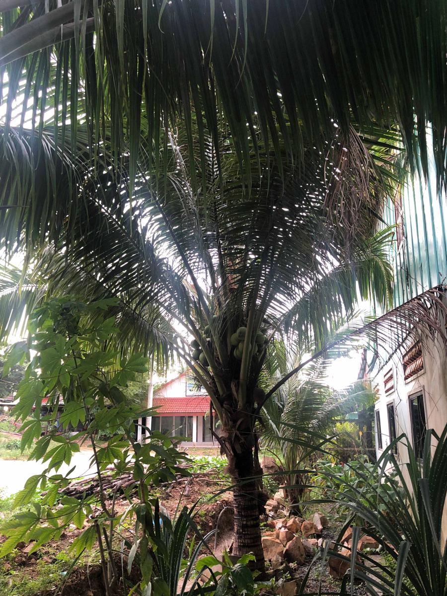Macondo Guesthouse photo 4
