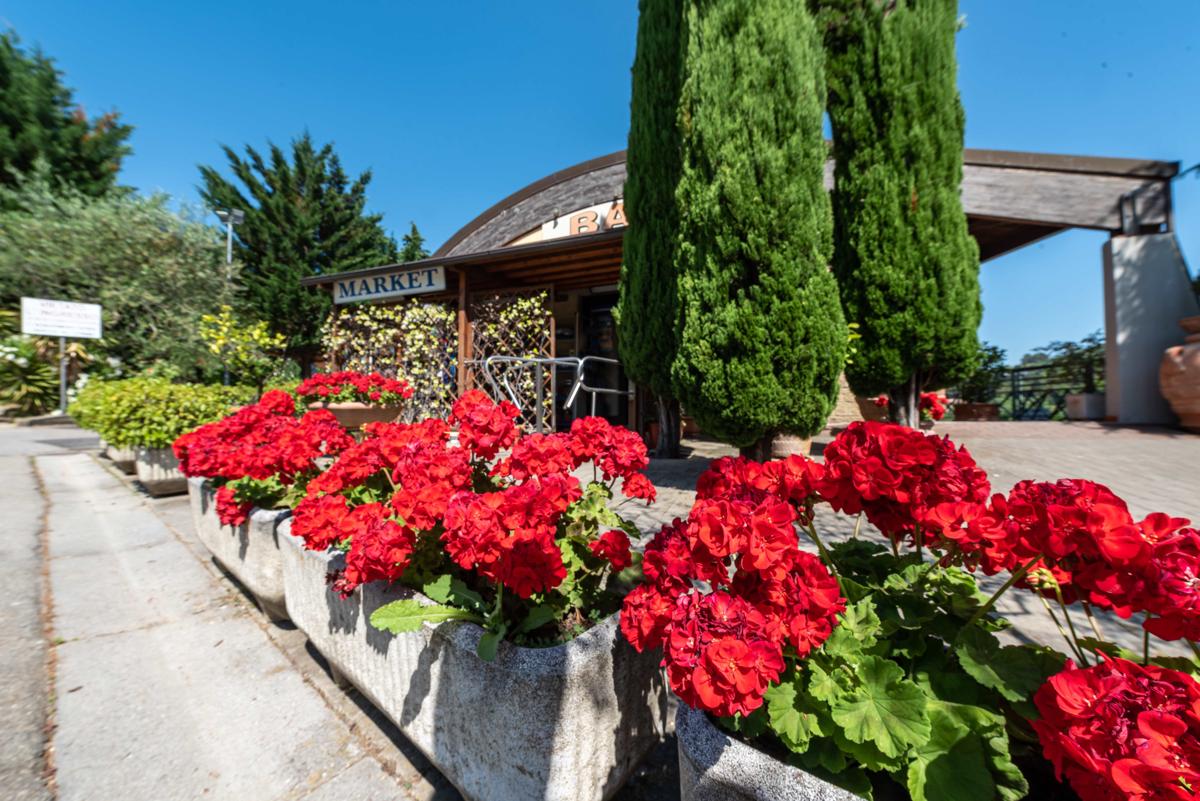 Camping Village Il Poggetto photo 2