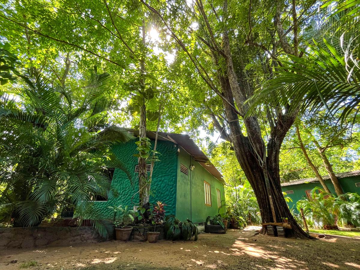 Silent Bungalow photo 1