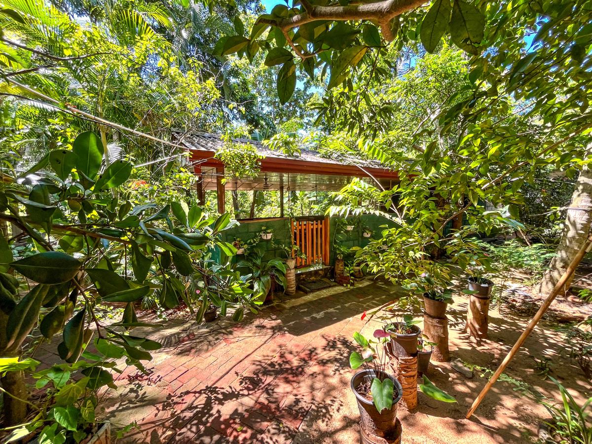 Silent Bungalow photo 3